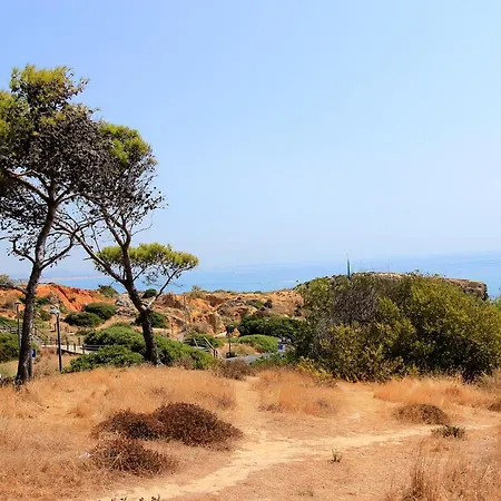 Charming Blue * Albufeira