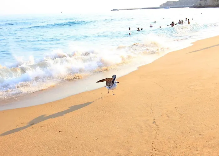 Apartman Charming Blue