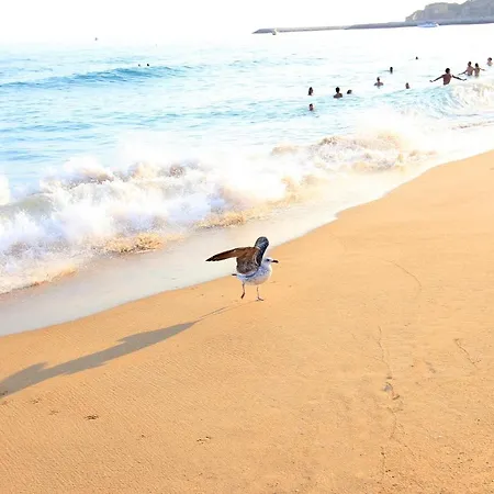 Διαμέρισμα Charming Blue